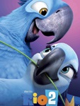 rio2 (1)